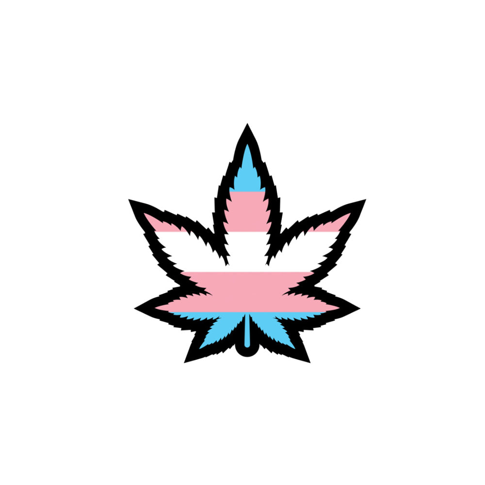 Weed Leaf Trans Pride Pin