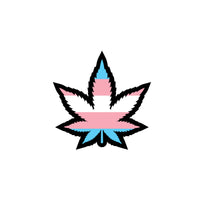 Weed Leaf Trans Pride Pin