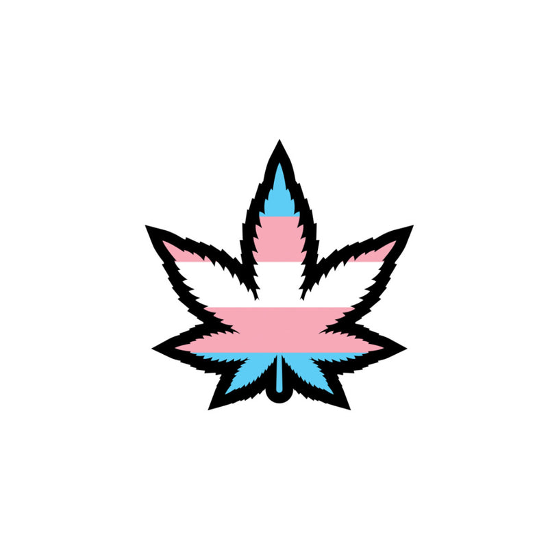 Weed Leaf Trans Pride Pin