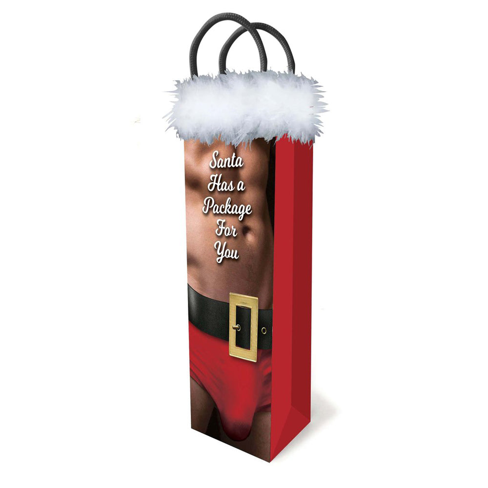 Santa Has A Big Package For You Gift Bag