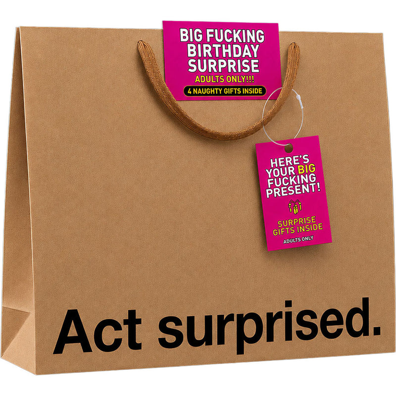 Big Fucking Birthday Surprise Big Present