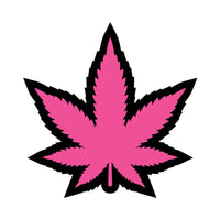Hot Pink/Magenta/Fuchsia